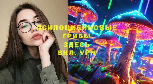 шишки Медвежьегорск