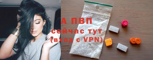 шишки Медвежьегорск