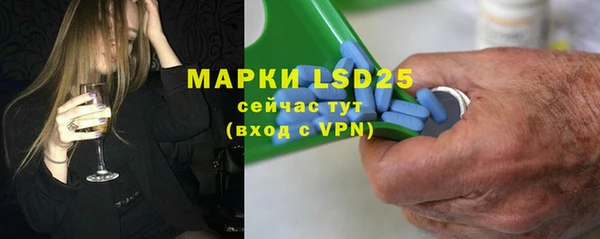 шишки Медвежьегорск