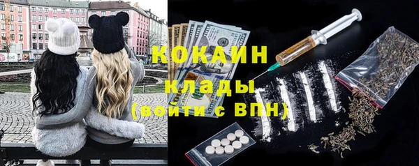 шишки Медвежьегорск