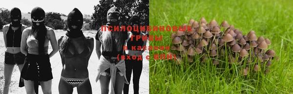 ALPHA PVP Мегион