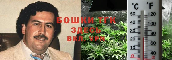 ALPHA PVP Мегион