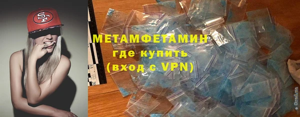 шишки Медвежьегорск