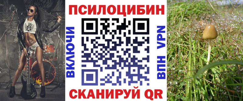 Галлюциногенные грибы мухоморы  где найти наркотики  Нюрба 